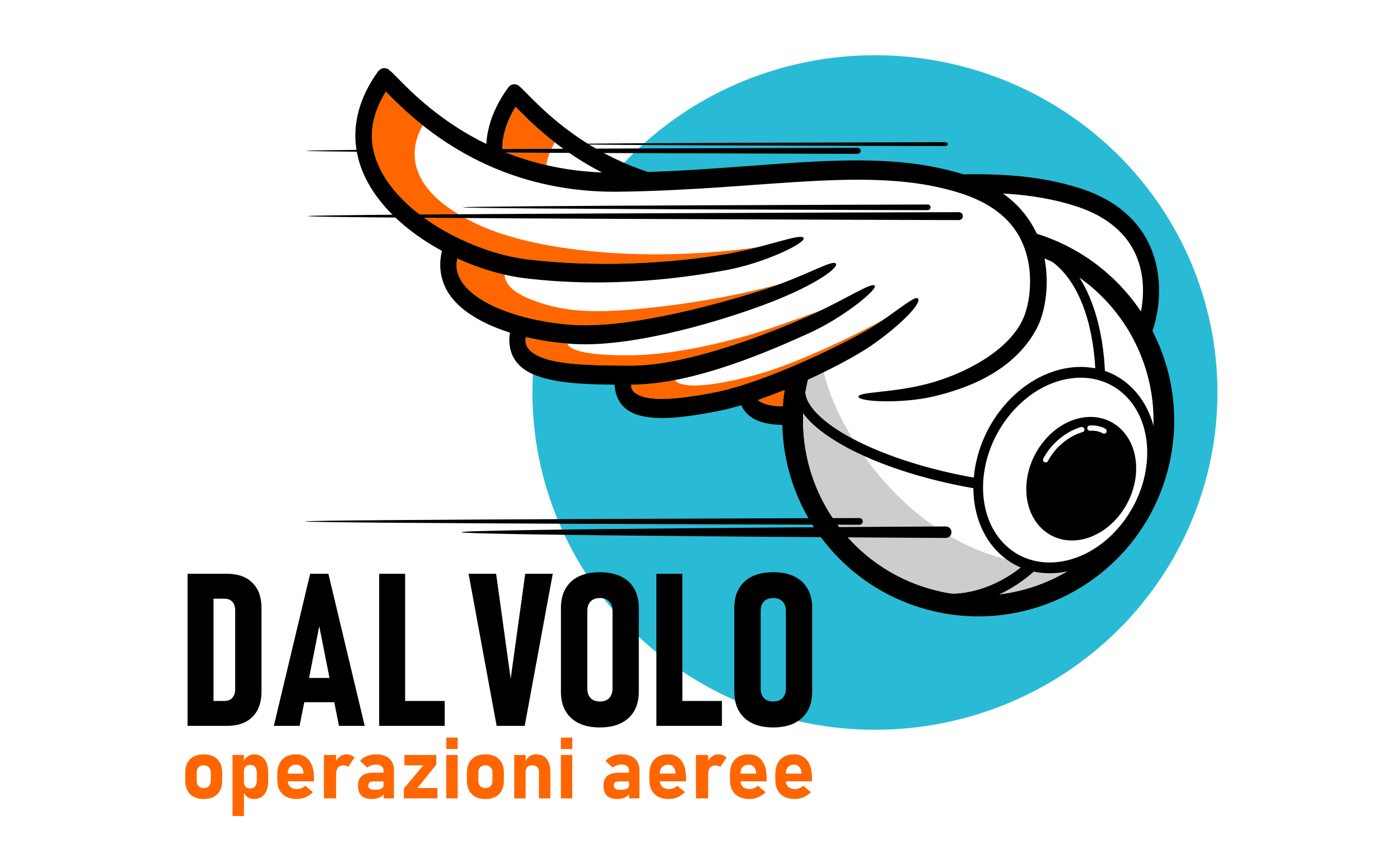 Logo DALVOLO